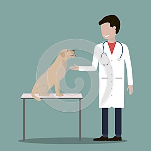 Male Veterinarian Doctor