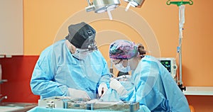 Male veterinarian, in glasses, white gloves, cap and in surgical outfit, while he sutures the operated dog's leg