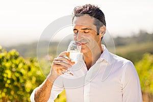 Male vintner smelling glass of wine