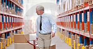 Male warehouse manager using pallet truck