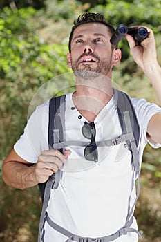 male watching animal on top tree