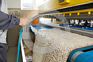 Male worker cleaning carpet on automatic washing machine equipment and dryer in the Laundry room. professional washing