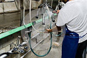 Male worker cleaning the milking machine while working on a dairy farm.