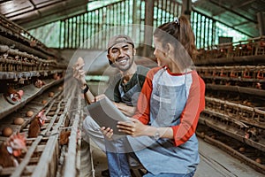 male worker holding eggs chats with female worker using tablet photo