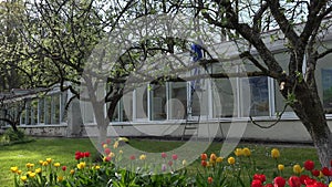 Male worker washing greenhouse in beautiful garden.