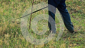A male worker in a work uniform mows the grass with a gasoline trimmer on the lawn in the summer. Grass mowing services