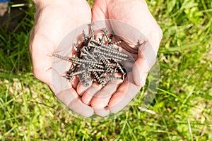 Male workker holds a pile of screws in hands