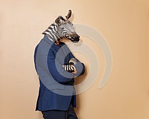 Male zebra in office clothing suit and shirt