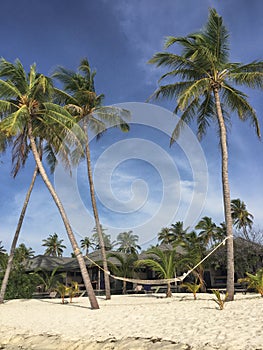 Maledives, beautiful tropical landscape