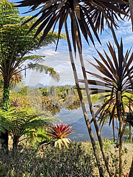 Klein botanisch garten. glas haus berg 