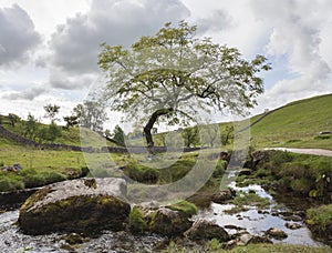 Malham Beck at Malham Cove