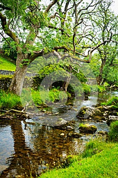 Malham Beck, Yorkshire Dales, England