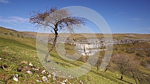 Malham Cove 4k footage in spring