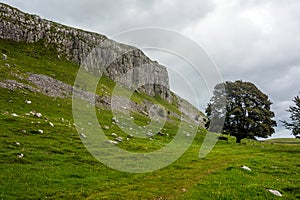 Malham Cove North Yorkshire