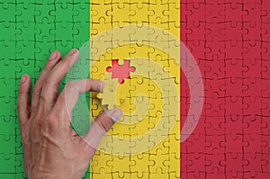 Mali flag is depicted on a puzzle, which the man`s hand completes to fold