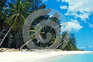 Malibu beach at Koh Phangan Island, Thailand