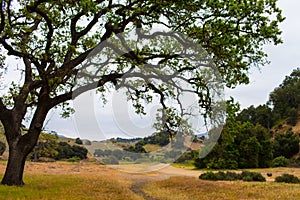 Malibu Creek State Park