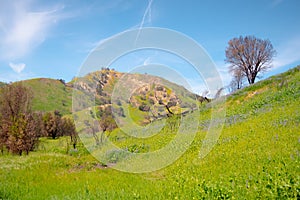 Malibu Creek State Park in California