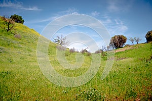 Malibu Creek State Park in California