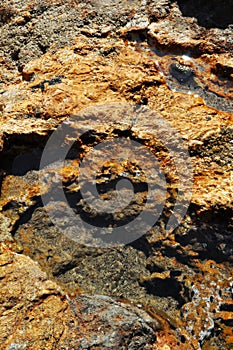 Malibu Tide Pools, Point Dume