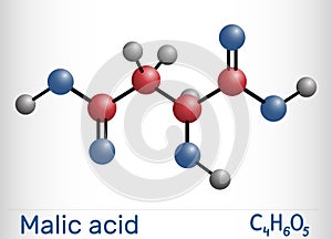 Malic acid C4H6O5 molecule, is alpha hydroxy acid AHA. E number 296, preservative. Molecule model