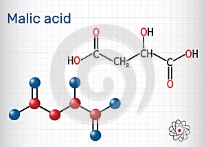 Malic acid C4H6O5 molecule, is dicarboxylic acid. Structural chemical formula and molecule model. Sheet of paper in a cage