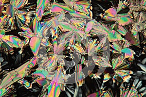 Malic acid under the microscope