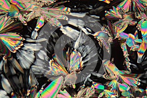 Malic acid under the microscope