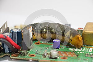 Malicious computer worm