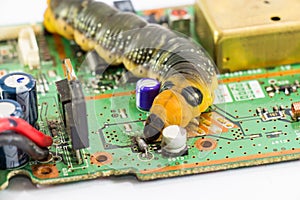 Malicious computer worm