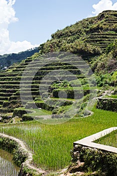 Maligcong rice terraces, Mountain Province, Philippines