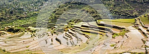 Maligcong rice terraces of the municipality in Mountain Province, Philippines