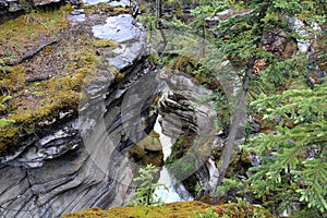 Maligne Canyon