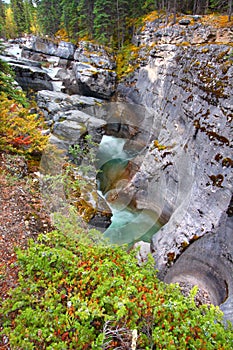 Maligne Canyon Jasper National Park