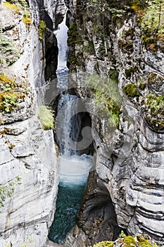 Maligne Canyon, Jasper National Park, Alberta, Canada photo