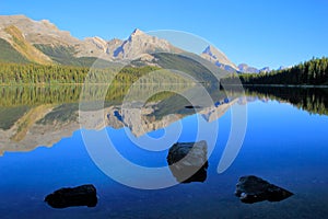 Maligne lake in Jasper national park, Alberta, Canada