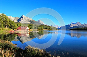 Maligne lake in Jasper national park, Alberta, Canada