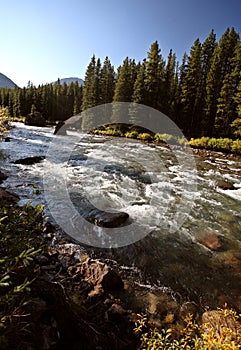 Maligne River in Jasper