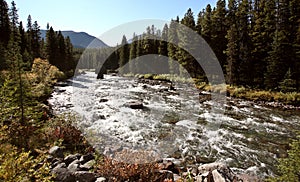 Maligne River in Jasper