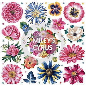 Maliy Cyrus Colorful floral design Cliparts Flowers
