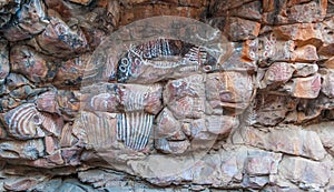 Malkawi aboriginal painting site. Flinders Ranges. South Austral