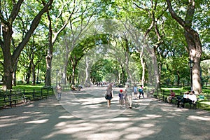 The Mall Central Park New York