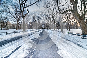 The Mall in Central Park - NYC