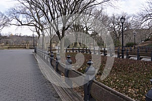 The Mall in New York City`s Central Park Looking North Toward Bethesda Terrace