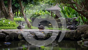 Mallard duck family waddles through the grass generated by AI