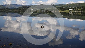 Mallard duck Ullswater Lake District Cumbria England UK with mountains and blue sky on beautiful summer day