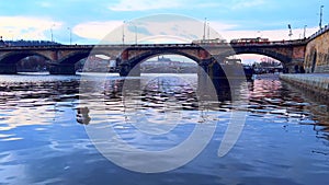 Mallards on evening Vltava River against Palacky Bridge, Prague, Czechia