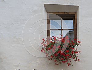 Malles Venosta typical alpine window with blooming Geraniums