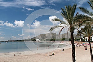 Mallorca beach in Alcudia photo