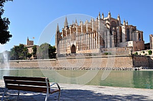 Mallorca Cathedral photo